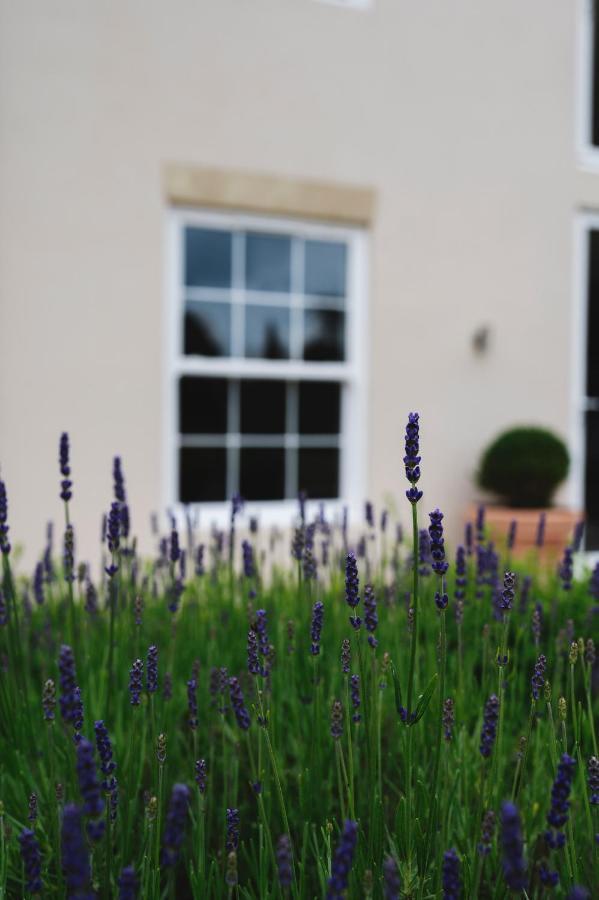 Large Country House - Hot Tub - Pool Table - Bbq - 5 Bedrooms - Log Burner Three Legged Cross Extérieur photo